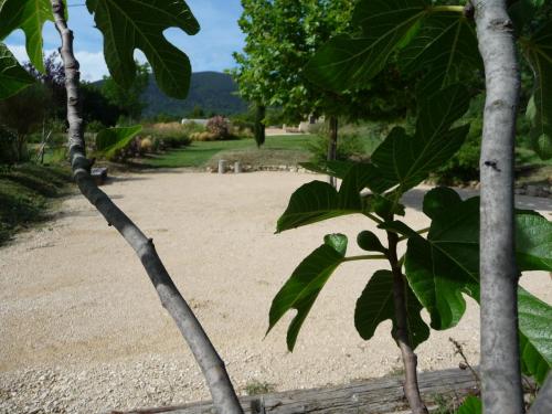 Jeu de boules